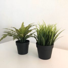 IKEA Plants (2 pots)